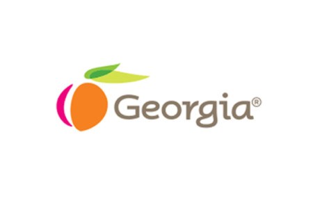 Convergint - State of Georgia Logo