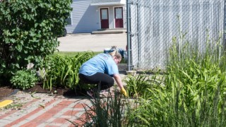 Convergint day women gardening