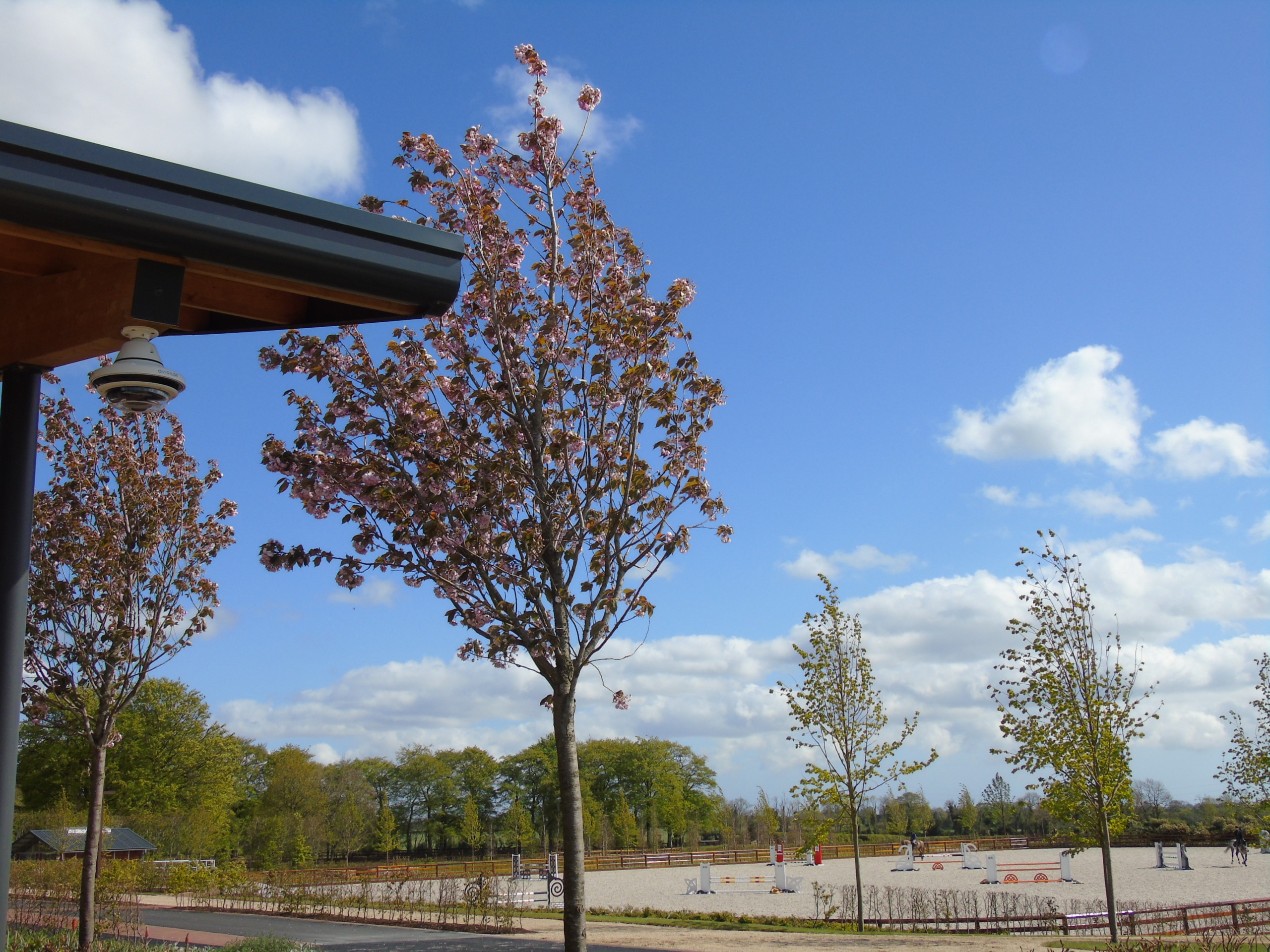 Camera mounted on side of building overlooking horse training arena