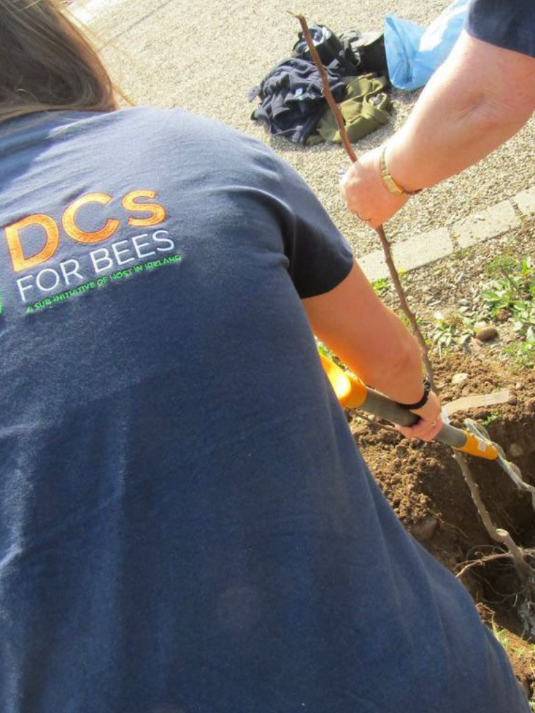 Women wearing DC's for bees t shirt and planting a tree