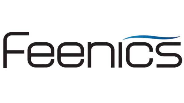 Feenics large logo