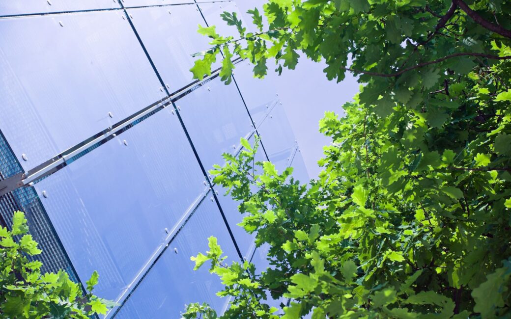 An office building windows and a tree covering part of it