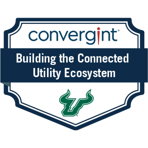 Building the connected utility ecosystem badge